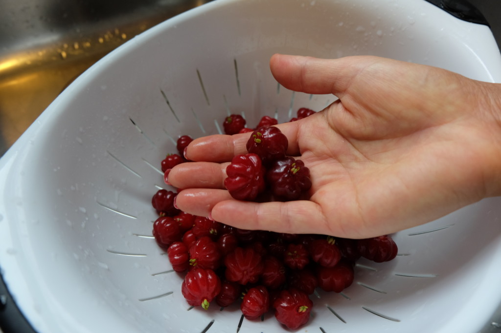 Ripe Pitanga Cherry